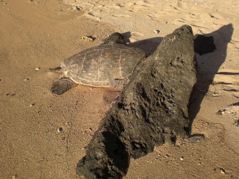 20070831T180806_cimg0934.jpg