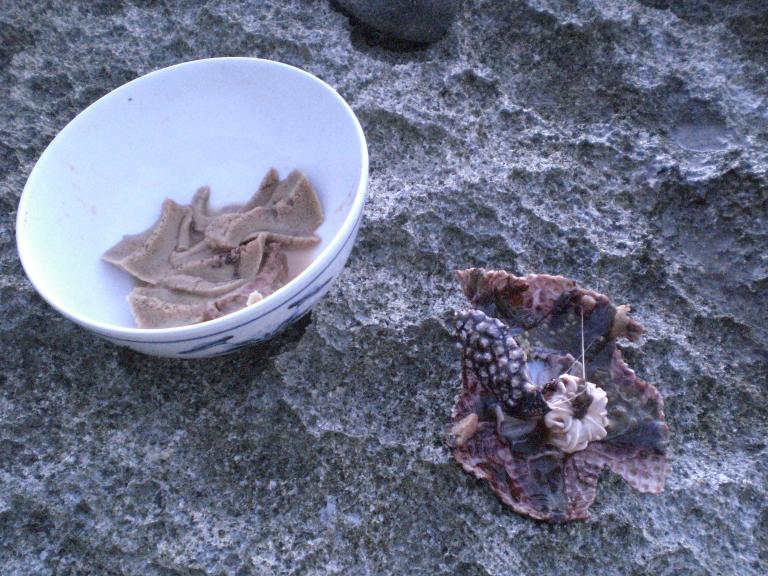 20070831T190028_cimg0950.jpg