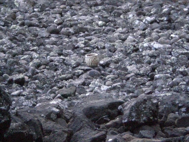 20070901T081636_cimg0960.jpg