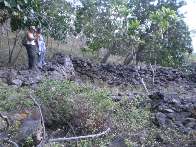 20070901T082344_cimg0961.jpg