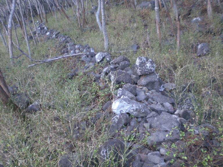 20070901T083050_cimg0962.jpg