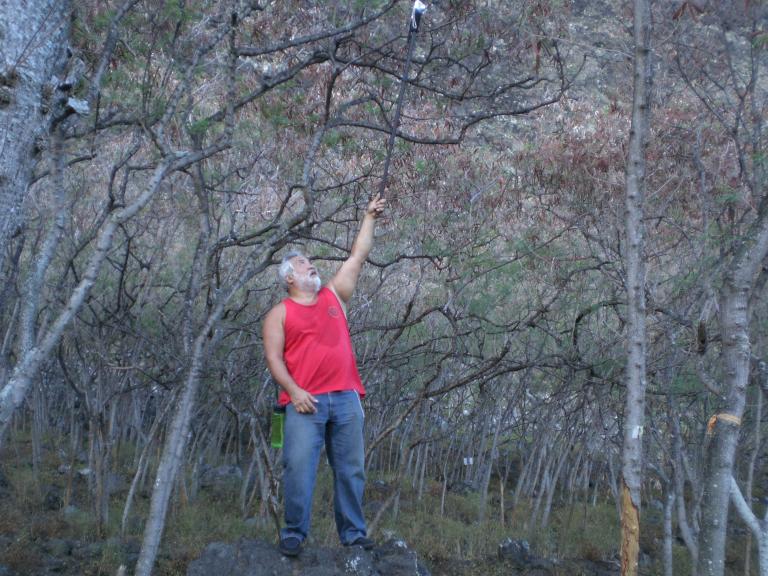 20070901T083204_cimg0964.jpg