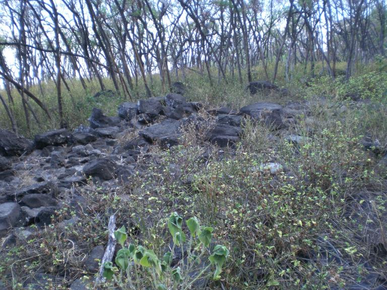 20070901T083830_cimg0968.jpg