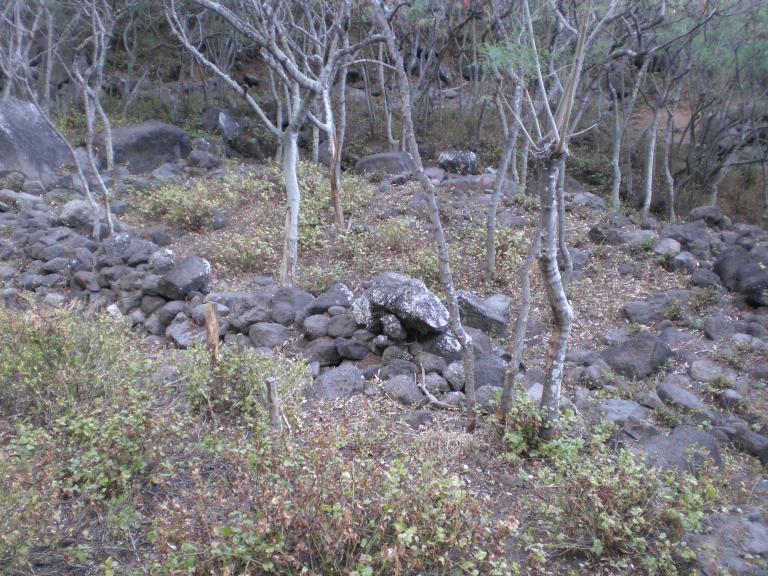 20070901T085700_cimg0971.jpg