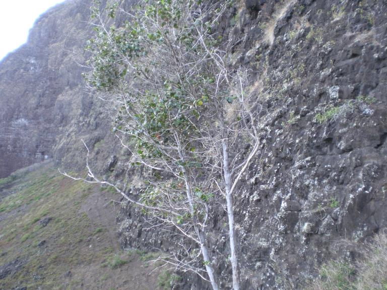 20070901T091328_cimg0978.jpg
