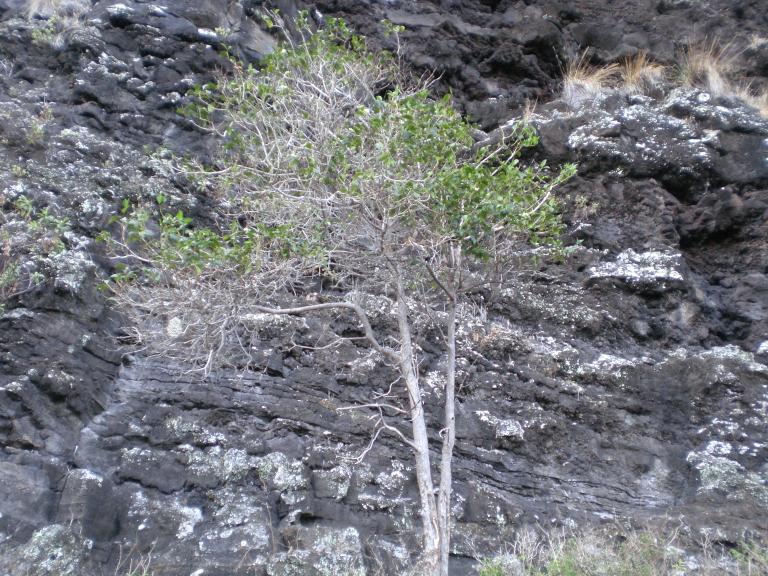20070901T091334_cimg0979.jpg
