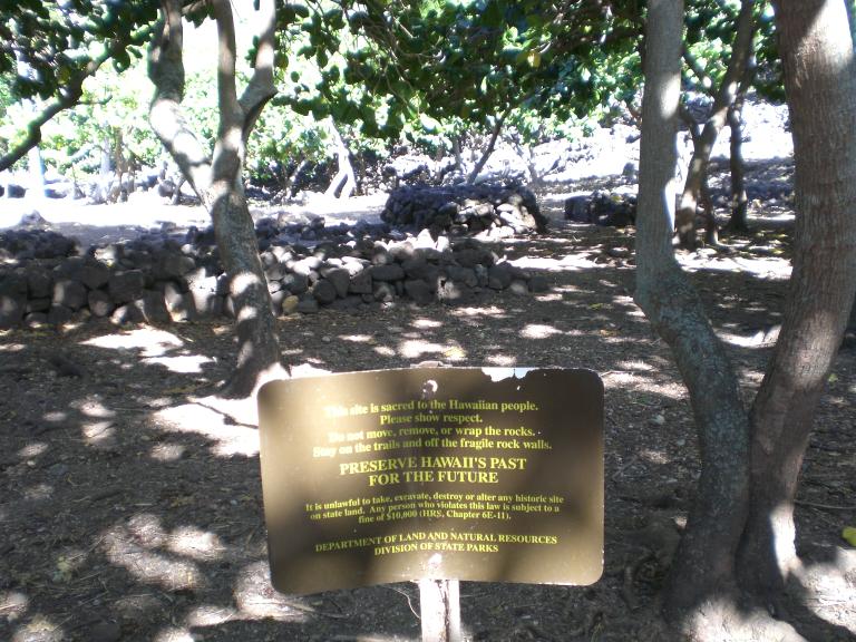 20070902T161702_cimg0996.jpg