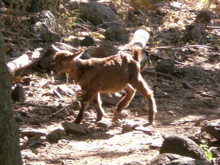 20070902T162036_cimg1000.jpg
