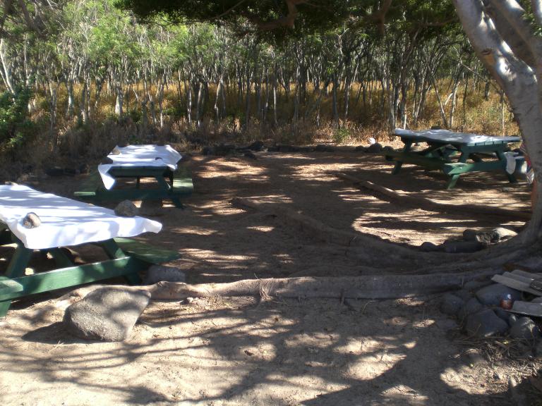 20070902T162454_cimg1002.jpg