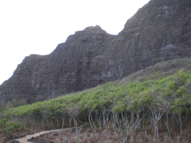 20070903T071436_cimg1009.jpg