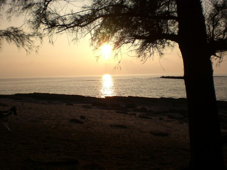 20080522T184640_cimg2047.jpg