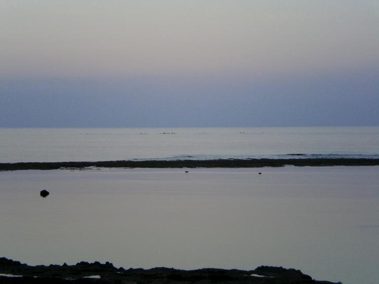 20080523T060432_cimg2056.jpg