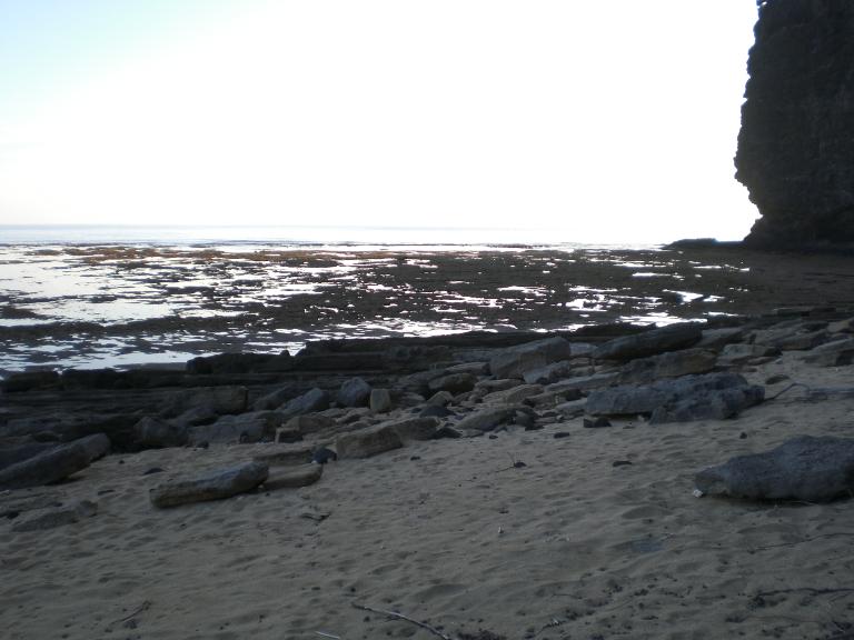 20080523T063318_cimg2058.jpg