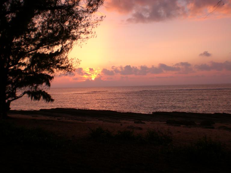 20080523T190610_cimg2059.jpg