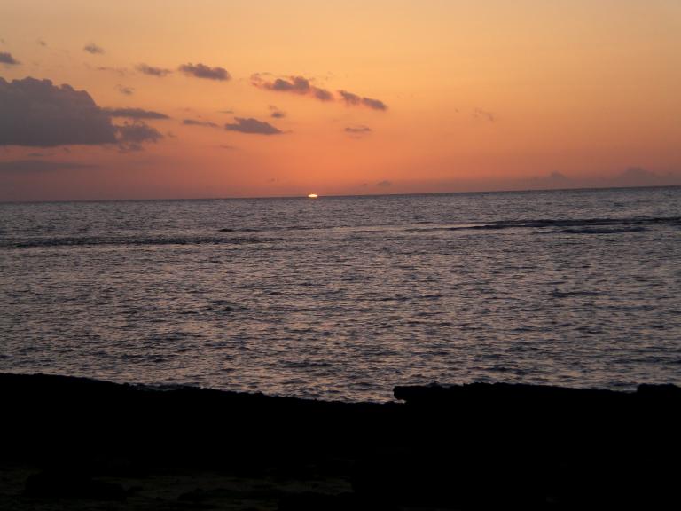 20080524T191528_cimg2072.jpg