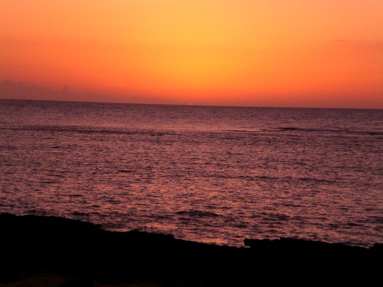 20080525T191552_cimg2125.jpg