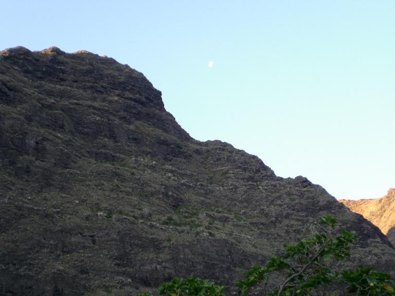 20080526T062350_cimg2134.jpg