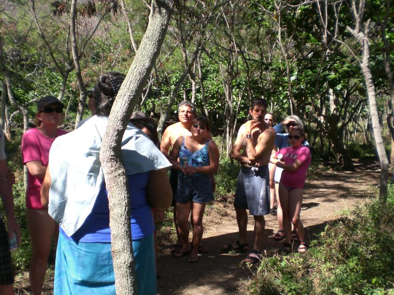 20080526T093416_cimg2139.jpg