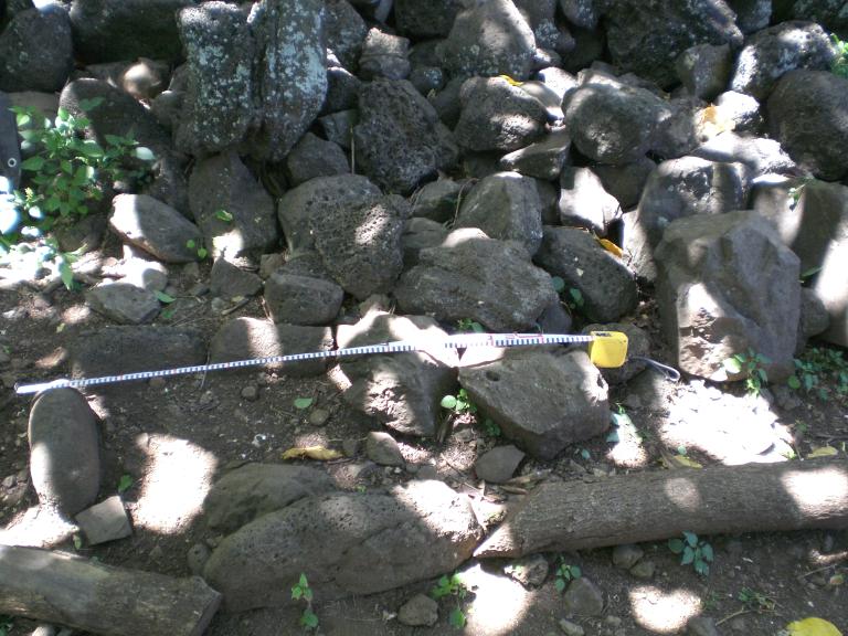 20080526T105726_cimg2142.jpg
