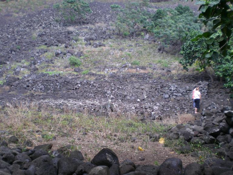 20080725T094338_cimg2299.jpg