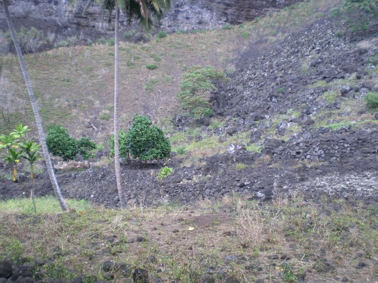 20080725T094352_cimg2300.jpg