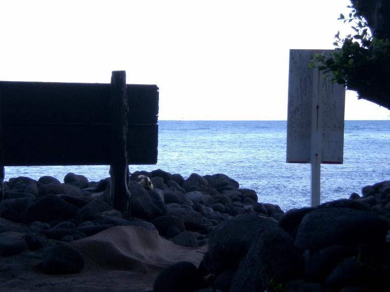 20080726T073550_cimg2307.jpg