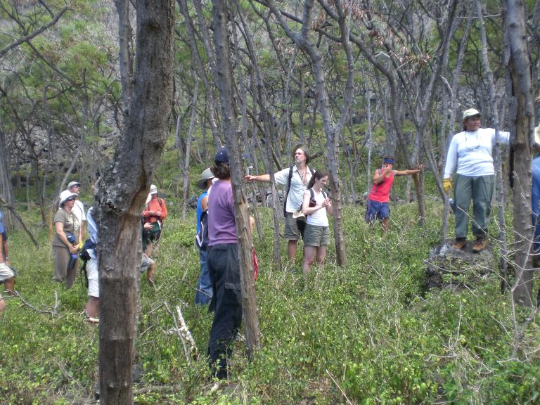 20080726T124804_cimg2319.jpg