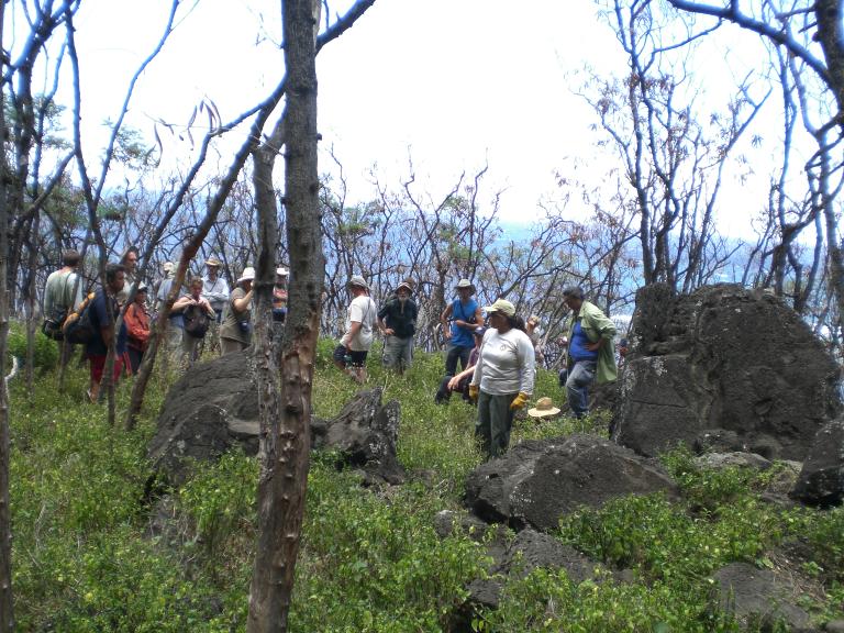 20080726T125422_cimg2320.jpg