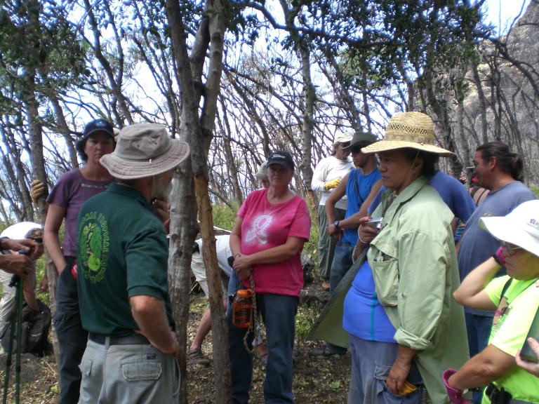 20080726T131710_cimg2323.jpg