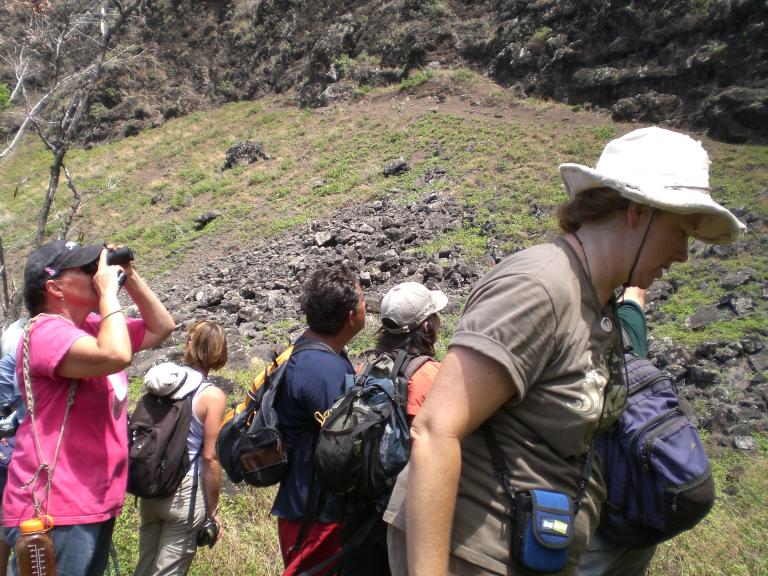 20080726T140010_cimg2325.jpg