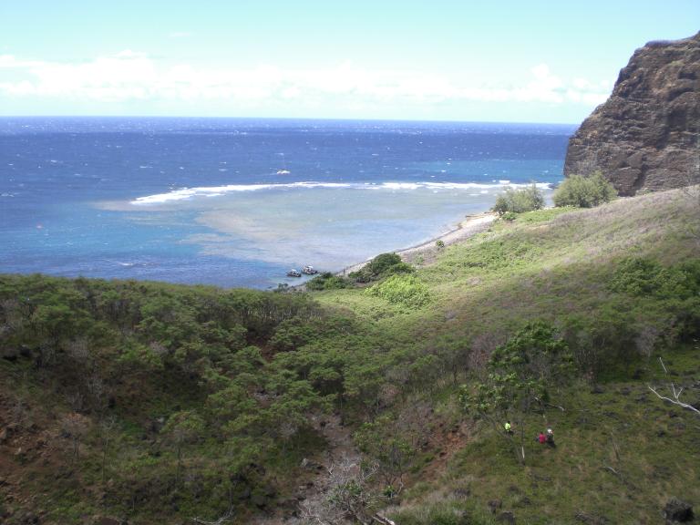 20080726T141948_cimg2327.jpg