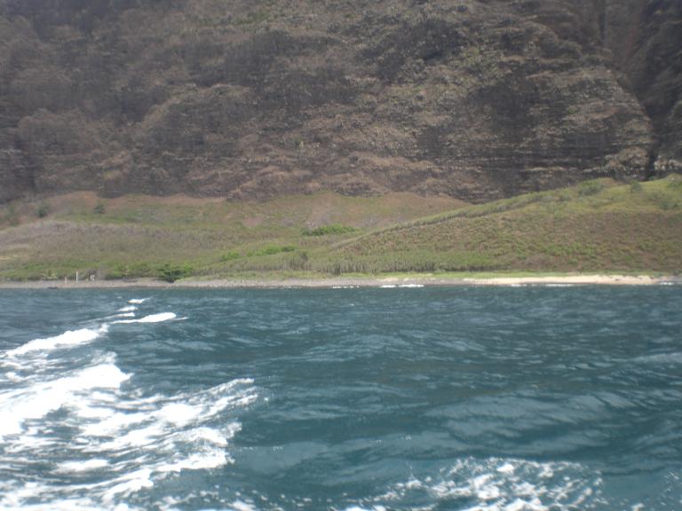 20080728T153634_cimg2378.jpg