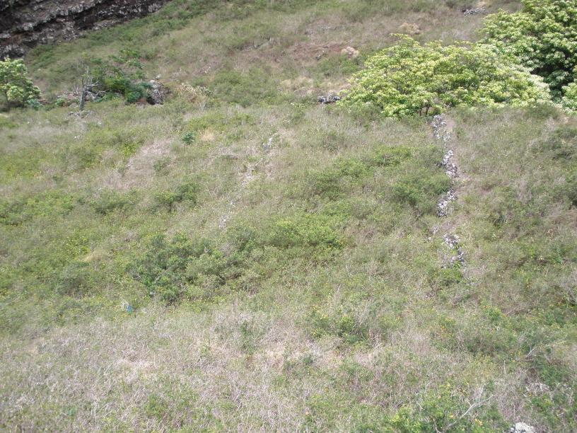 20090904T131128_p9040064.jpg