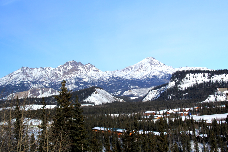 IMG_2438.JPG