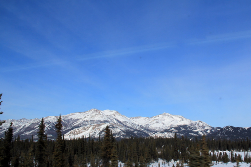 IMG_2442.JPG