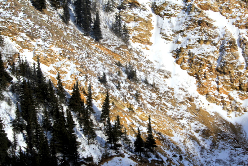 IMG_2470.JPG
