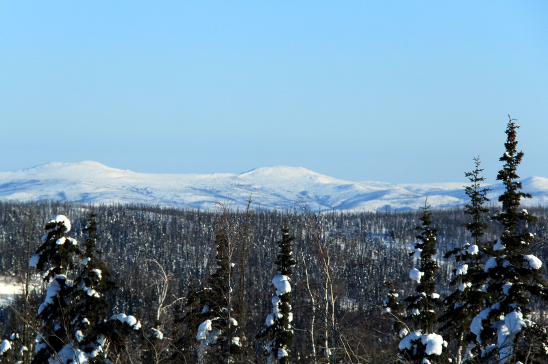 IMG_3007.JPG