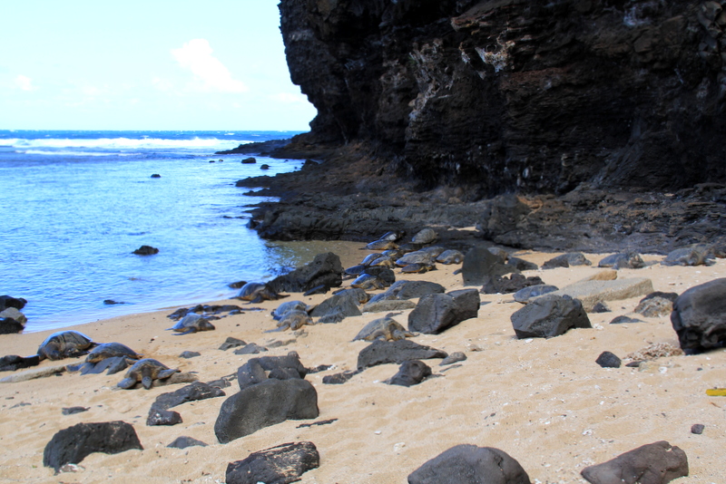 068Feb13.JPG