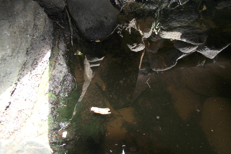 075Feb13.JPG